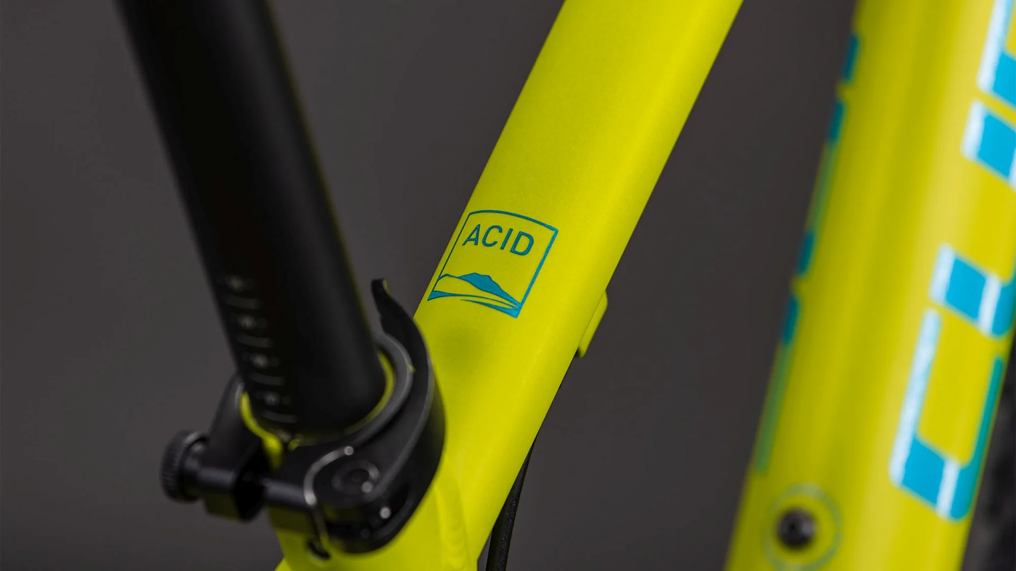 CUBE ACID 240 DISC LIZARD/BLUE - Image 3