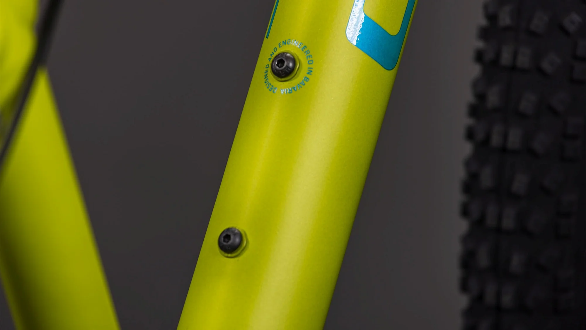 CUBE ACID 240 DISC LIZARD/BLUE - Image 4