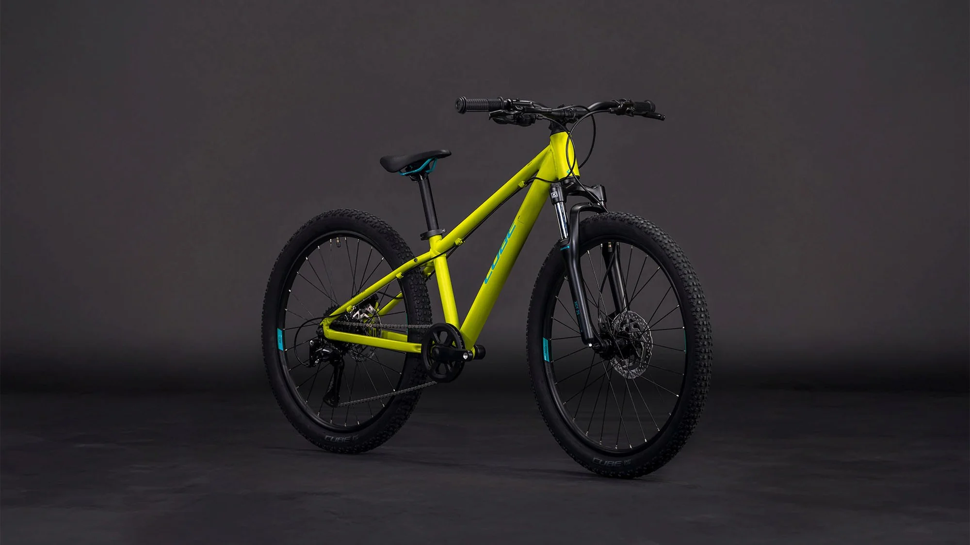 CUBE ACID 240 DISC LIZARD/BLUE - Image 7